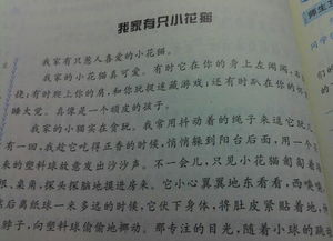 用總分總結(jié)構(gòu)寫校園一角作文