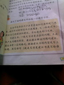 戲曲進校園作文400字六級