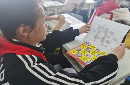 校園欺凌主題探究作文