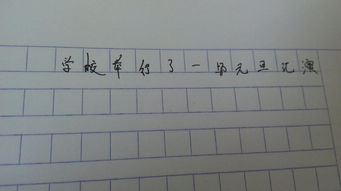 第一次進(jìn)入新校園的作文,第一次新校園作文600字初中,我的新校園作文400字四年級(jí)