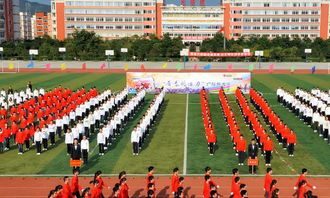 校園運(yùn)動(dòng)會(huì)100字作文