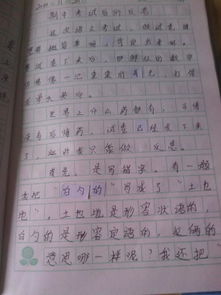 介紹校園的作文四百字左右