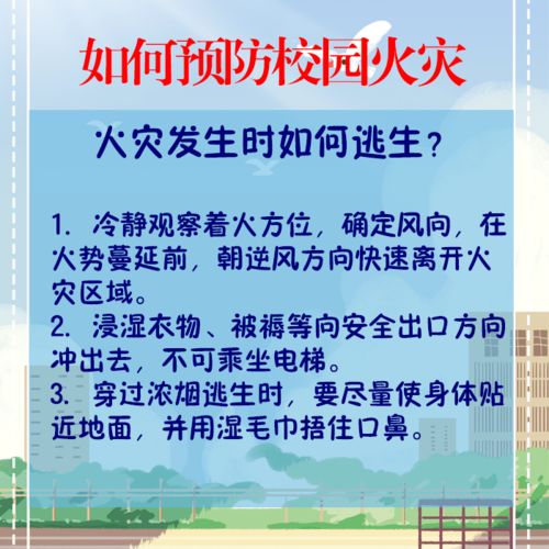 校園防范火災安全觀后感作文