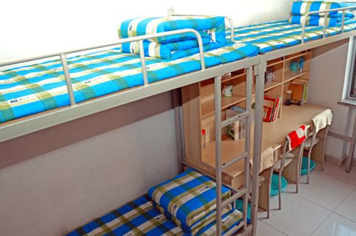 走出校園四級(jí)300作文