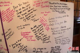 校園槍擊案的英語(yǔ)作文