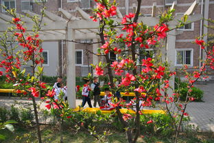 美麗的春天作文評語,小學(xué)生關(guān)于春天的作文的評語,關(guān)于春天作文的評語精選