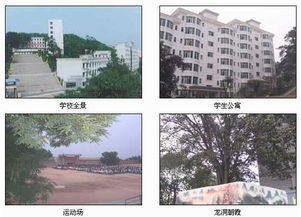 永川北山中學(xué)校園景色作文