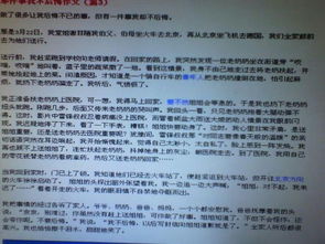 作文,后悔,校園