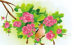 校園山茶花的作文400字