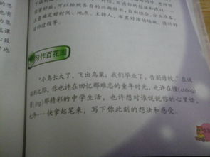 小學陽光校園作文800字