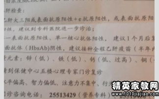 作文,調(diào)查,校園