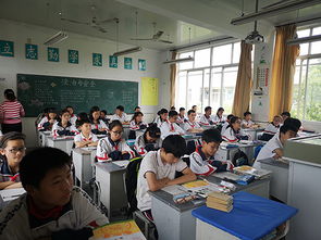 防校園欺凌心得體會作文600字,拒絕校園欺凌心得體會作文400字,校園欺凌心得體會作文300字