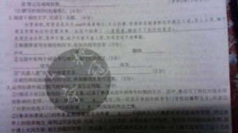 描寫校園陽光的作文