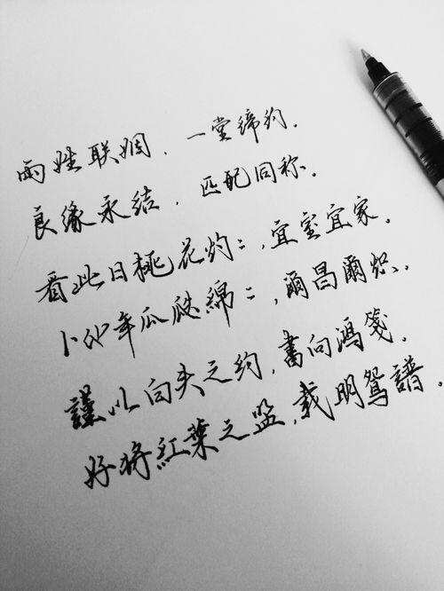 以疫情結(jié)束后返回校園寫一篇作文