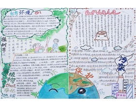 英語作文保護(hù)校園環(huán)境80詞