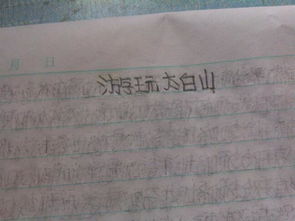 我們的校園270個字作文