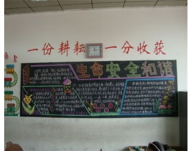 關于法制校園的作文1000