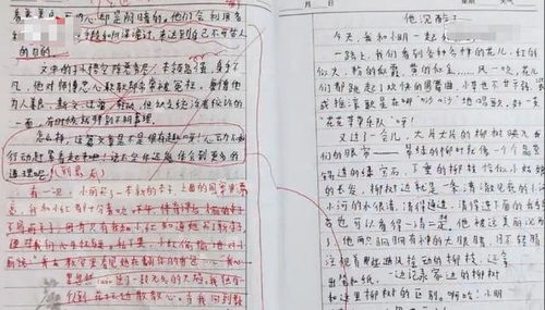 關(guān)于參加校園的作文