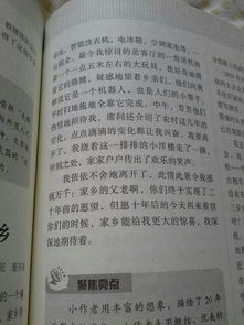 作文,未來,校園