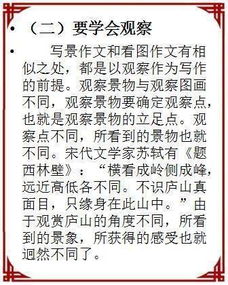 寫景,作文,初中,校園