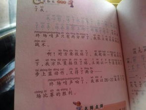 足球進校園感想作文1000字