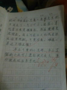 三級描寫校園作文300字