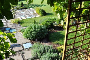 作文,花壇,春夏秋冬,校園