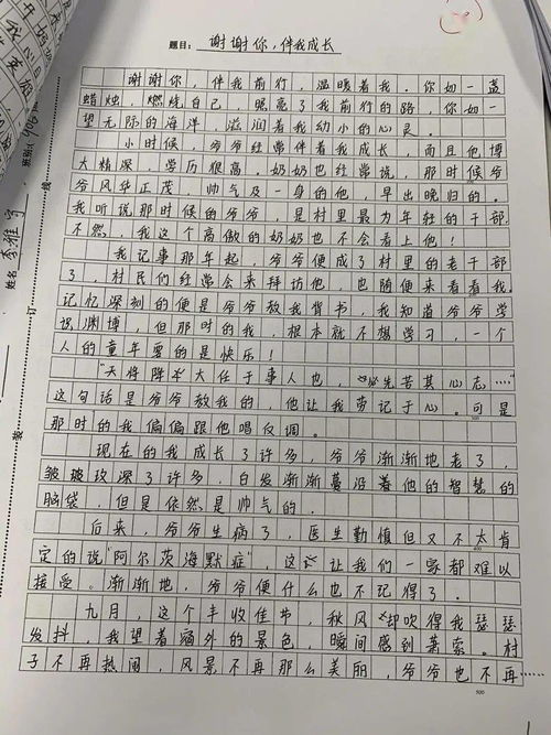 作文,之最,中學(xué),校園