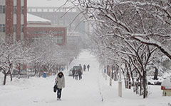 校園美景冬天作文200字