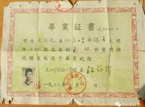 鐫刻在心底的記憶作文600字,鐫刻在心底的記憶作文500字,鐫刻在時光中的記憶作文