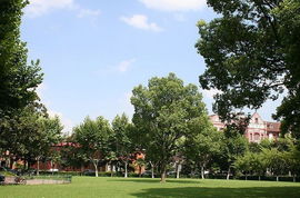 最美校園800字的作文