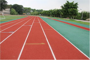 校園一角作文塑料跑道