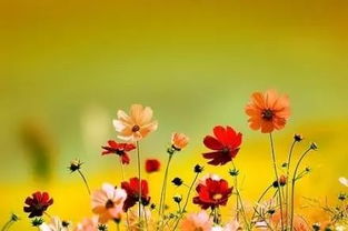 校園格?；ㄗ魑?00