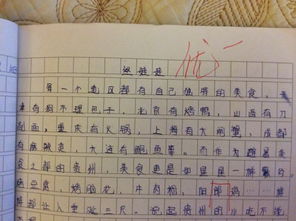 作文,寫一篇,家鄉(xiāng),校園