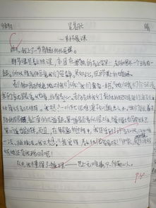 有關我青春我成長的校園作文