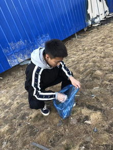 保護(hù)校園環(huán)境我們在行動作文