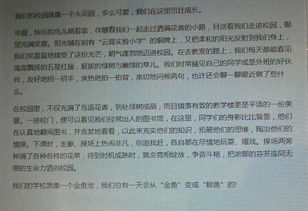 校園景線一篇作文450字