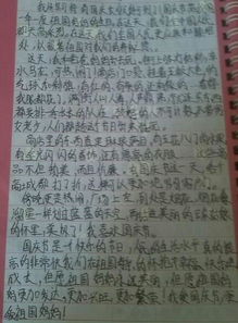 校園所見所聞所感作文五百字左右