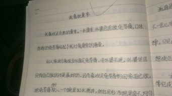 校園童年趣事的作文450字,在校園里的童年趣事作文,校園童年趣事作文500字