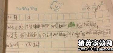 作文,運(yùn)動(dòng)會(huì),校園