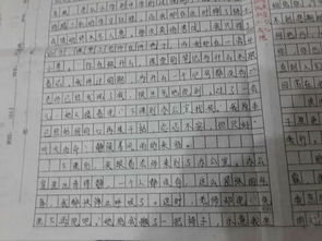 九月的校園600字作文開頭