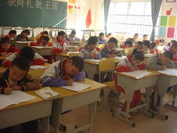 新的校園里的快樂作文