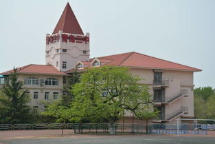 校園的皂角樹作文