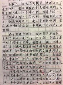 小學(xué)生作文詩(shī)歌對(duì)校園的美好情感