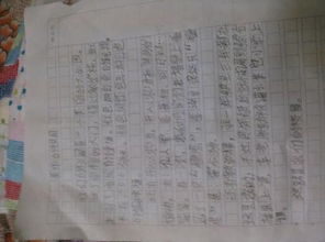 作文,小學(xué),校園