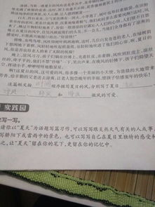 以夏天為主題寫(xiě)一篇作文,圍繞夏天寫(xiě)一篇作文,寫(xiě)一篇關(guān)于夏天的作文