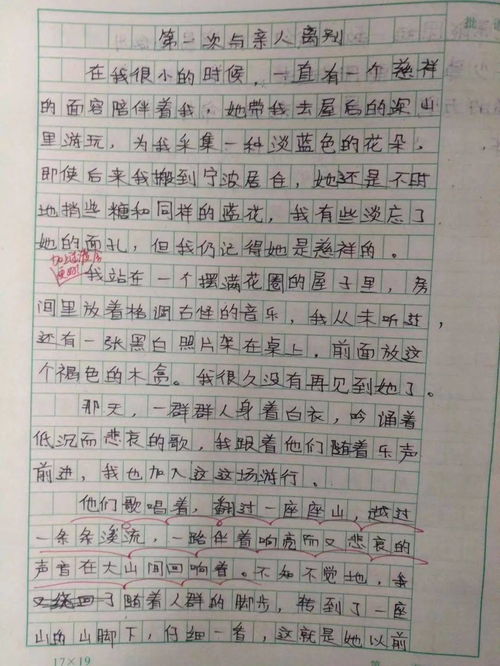 精彩校園廉潔我心小學(xué)生作文