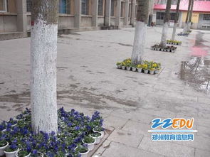 綠化美化校園的標(biāo)語,綠化美化校園的手抄報(bào),綠化美化校園環(huán)境內(nèi)容