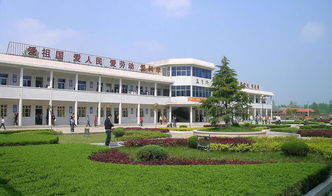 寫美麗的校園作文200字