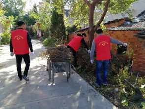 關(guān)于文明城市文明校園的作文怎么寫